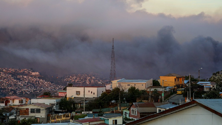 Deadly wildfire engulfs one of the world's largest botanic gardens in Chile