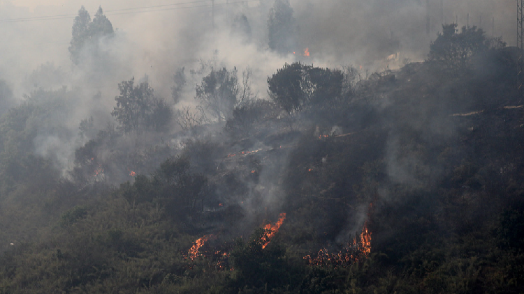 Death toll hits 123 in central Chile forest fires - CGTN