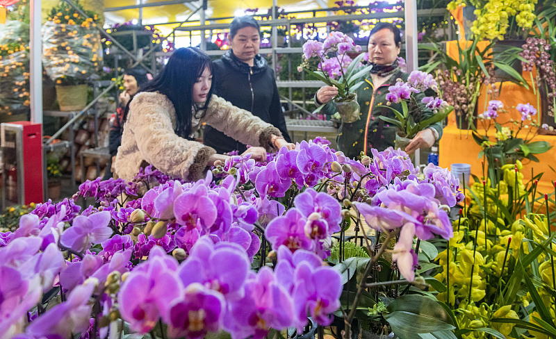 Residents buy orchids for the Chinese New Year at a park in Guangzhou City, Guangdong Province, February 6, 2024. /CFP