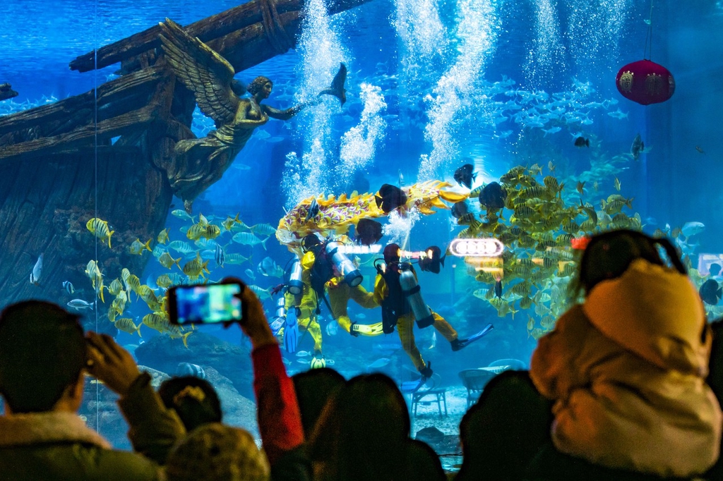 A photo shows visitors watching divers perform a dragon dance at an aquarium in Shapingba District, Chongqing on February 7, 2024. /IC