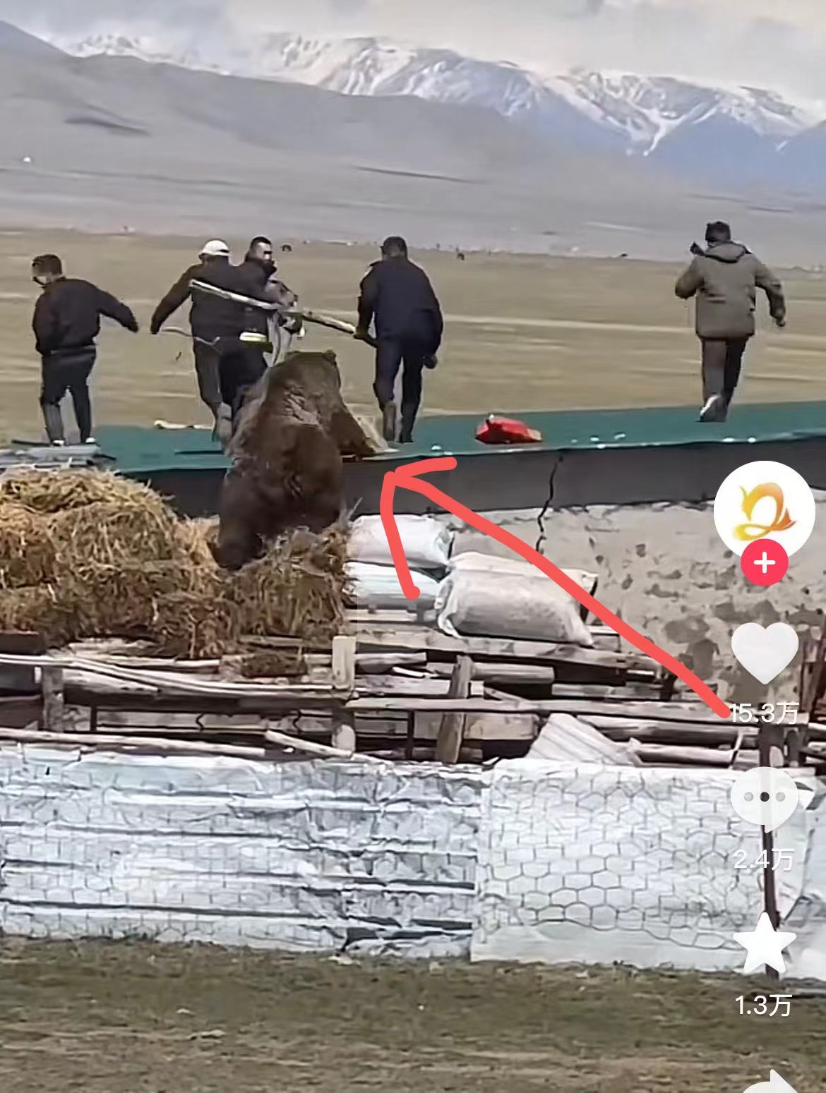 Screenshot of a video on Chinese social media platform Douyin shows a bear chasing people. /CGTN