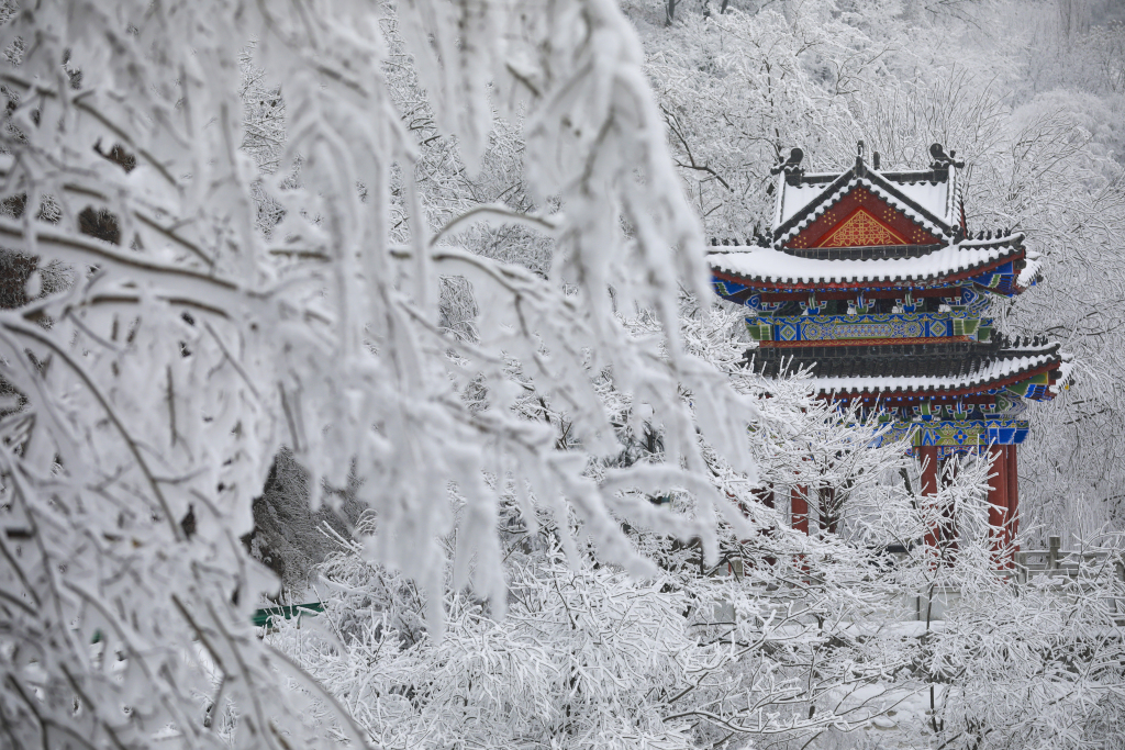 A photo shows a snow-covered pagoda among the trees at a mountain scenic spot in Chang'an District, Xi'an, Shaanxi Province on February 7, 2024. /CFP
