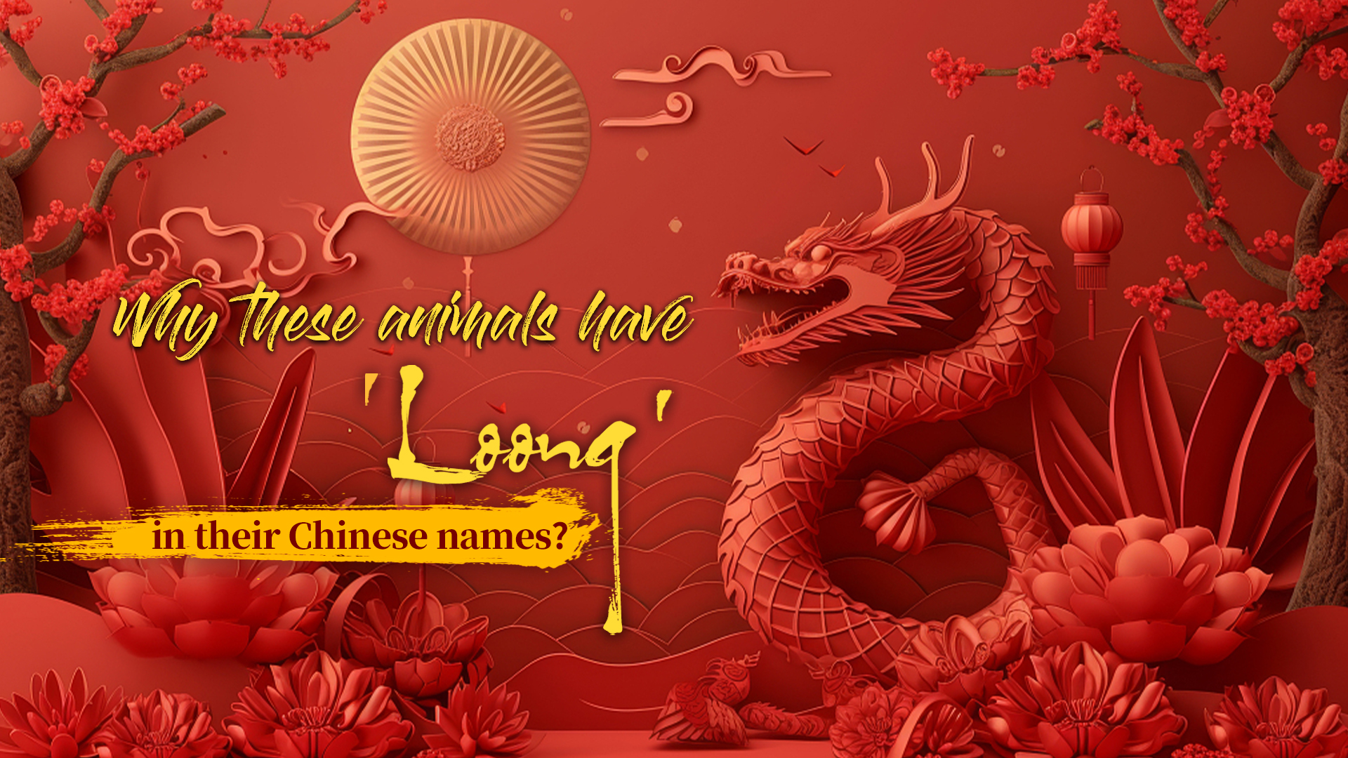 Why do these animals have 'loong' in their Chinese names?
