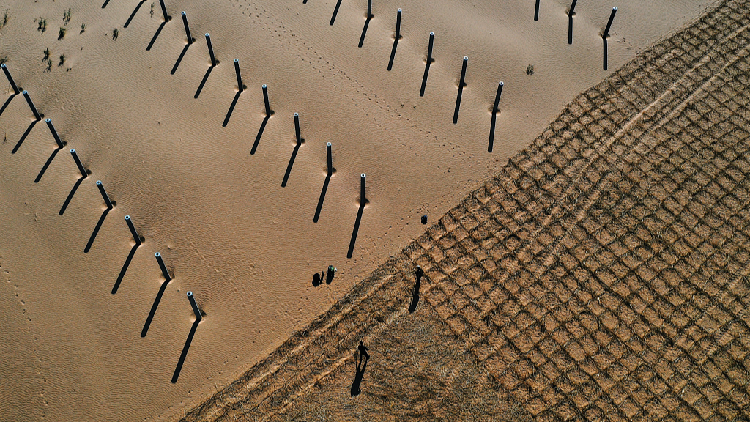 Expansion of Sand Control Measures Planned in China's Inner Mongolia