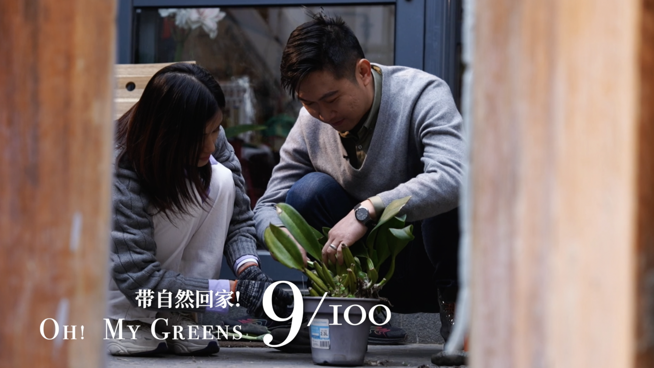 'Oh! My Greens' Ep. 9: A goodbye to Beijing's hutong rooftop garden