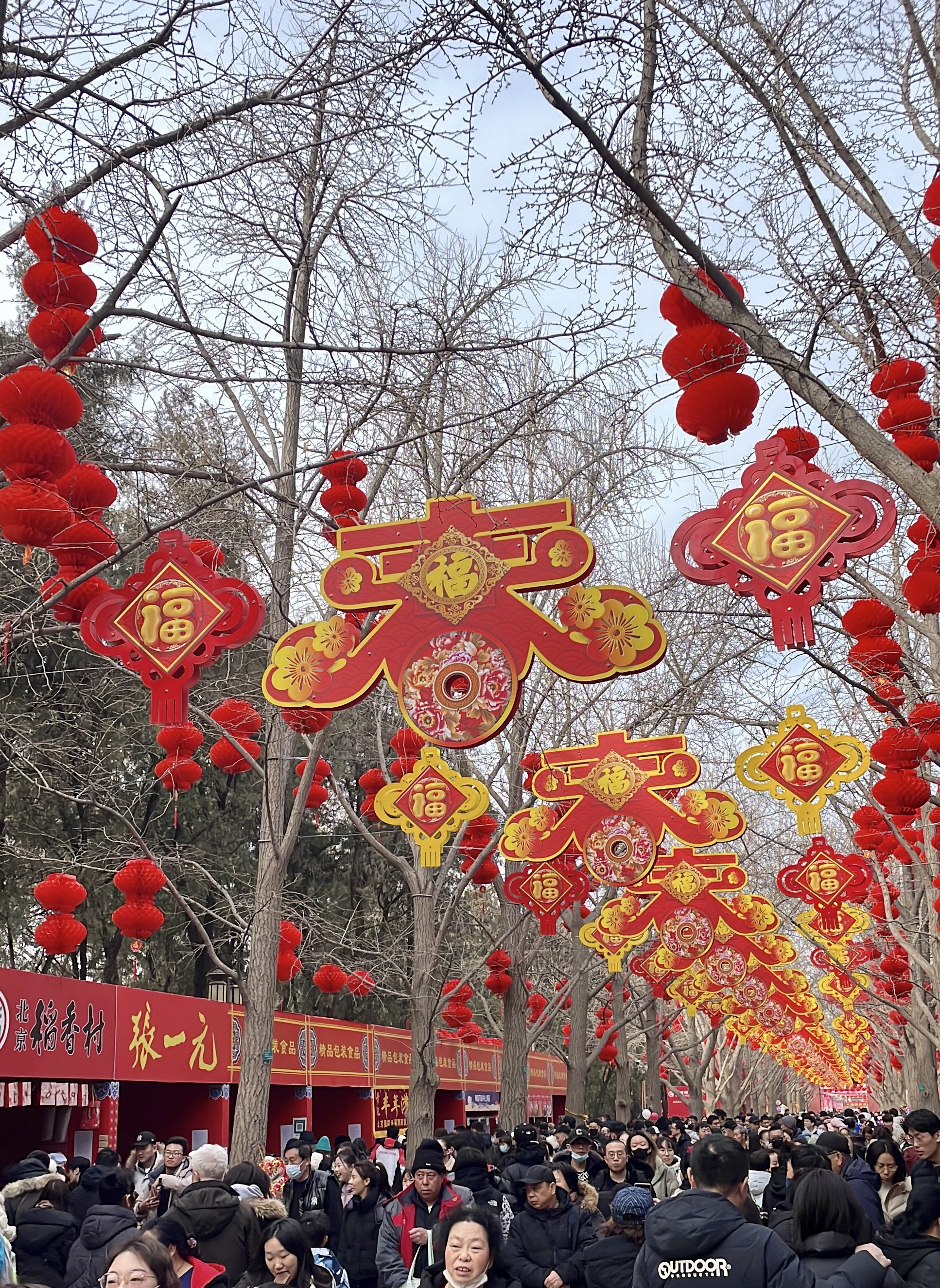 People celebrate the Chinese New Year at the Ditan Park Temple Fair in Beijing on February 11, 2024. /CGTN 