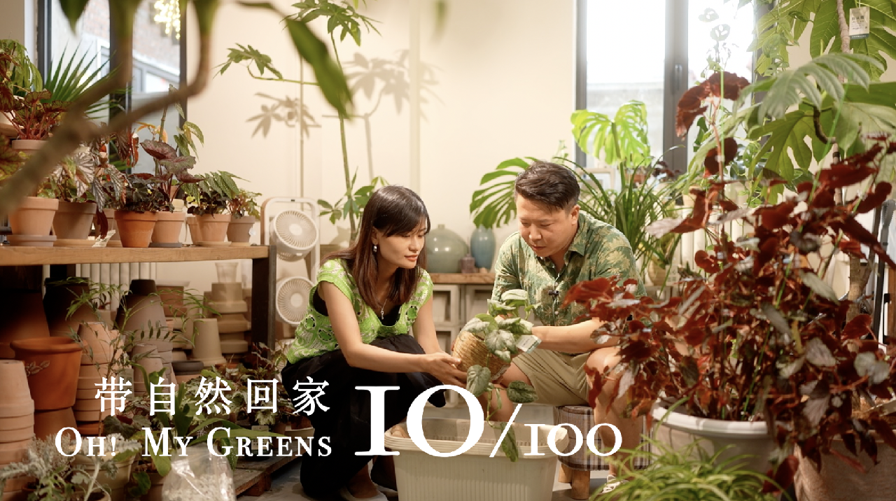 'Oh! My Greens' Ep. 10: Summer battle to save dying tropical plants