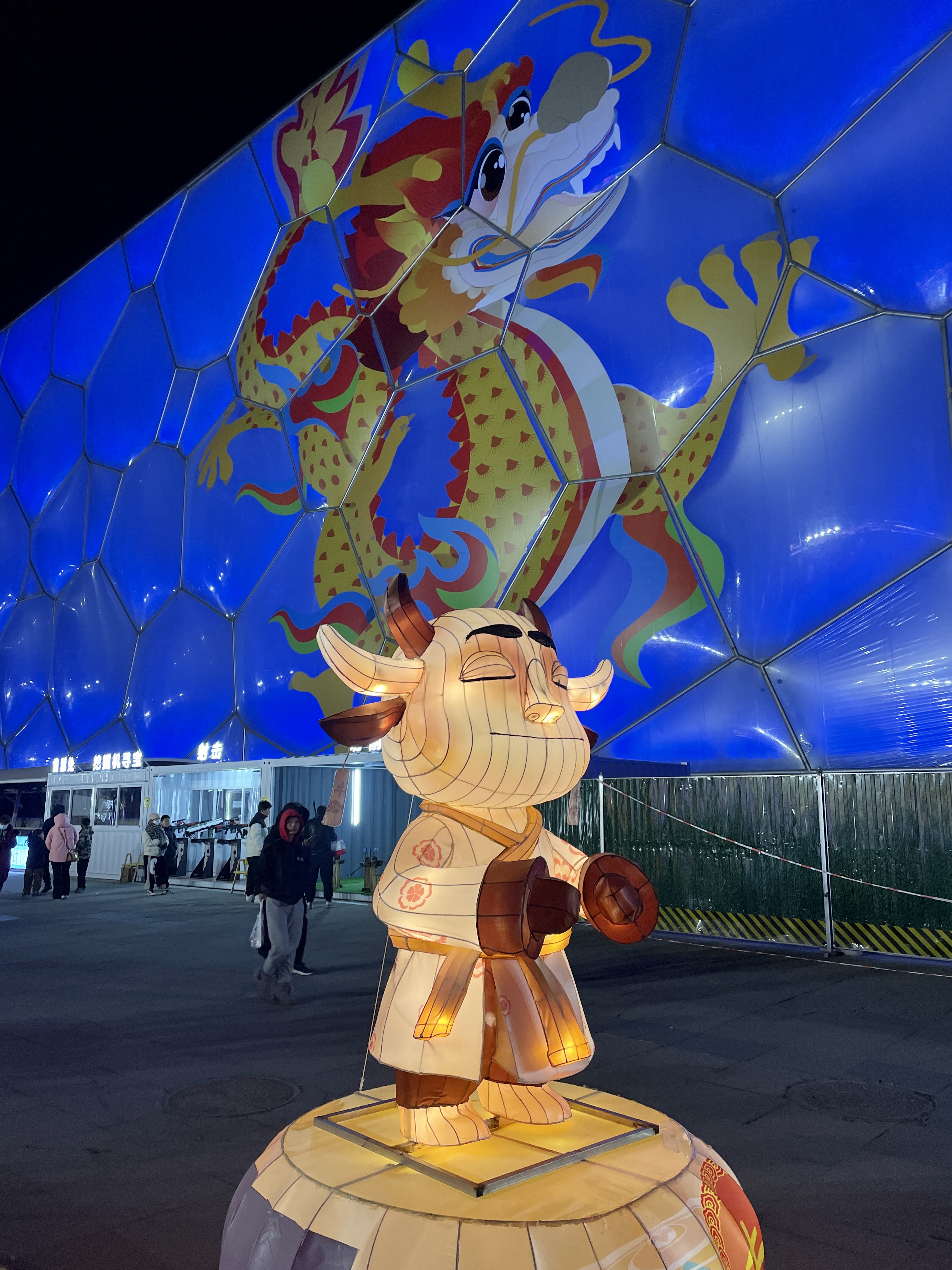 A photo shows a Chinese zodiac animal lit up outside the Beijing Olympic Water Cube. /CGTN