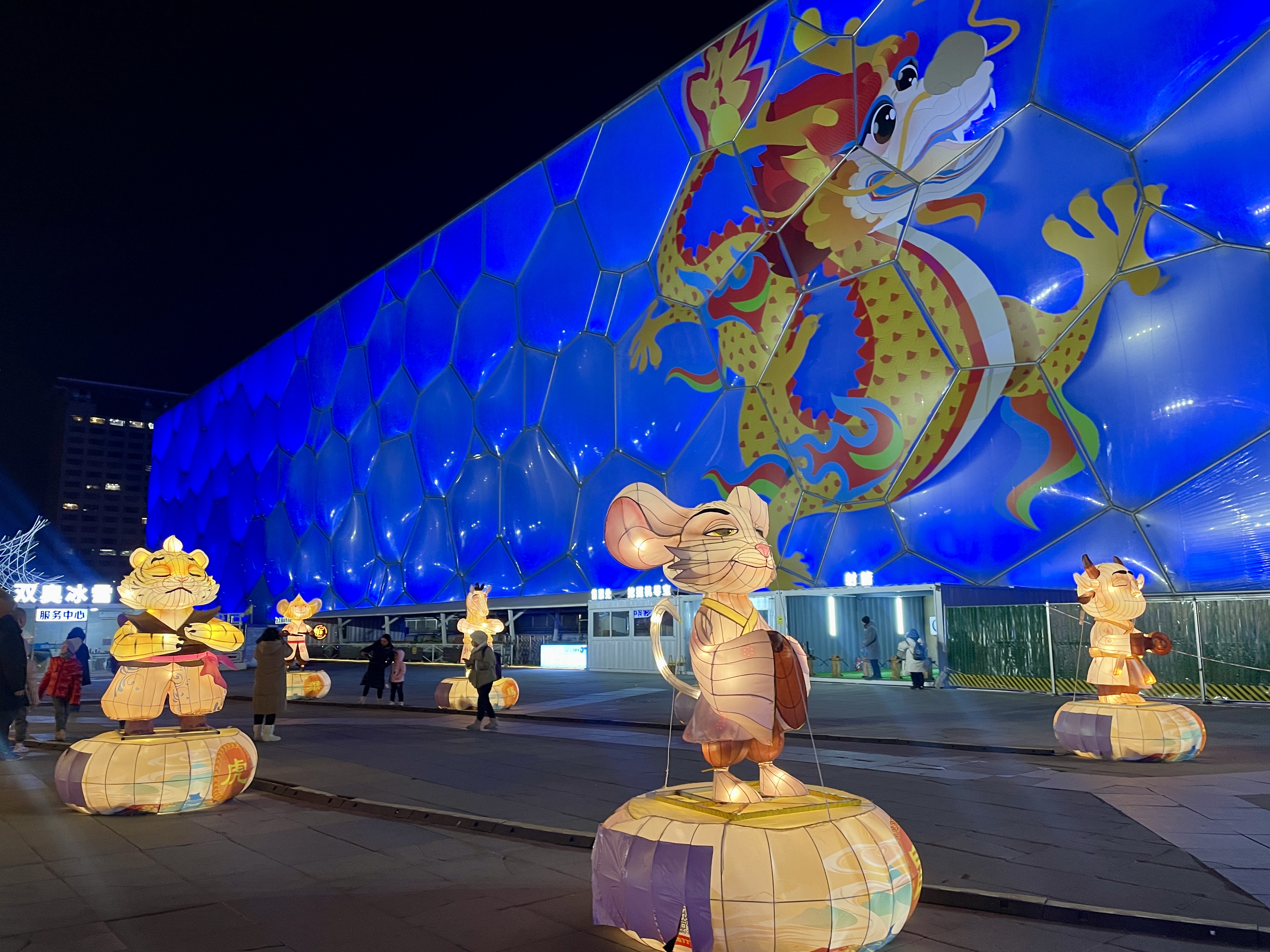 A photo shows several Chinese zodiac animals lit up outside the Beijing Olympic Water Cube. /CGTN