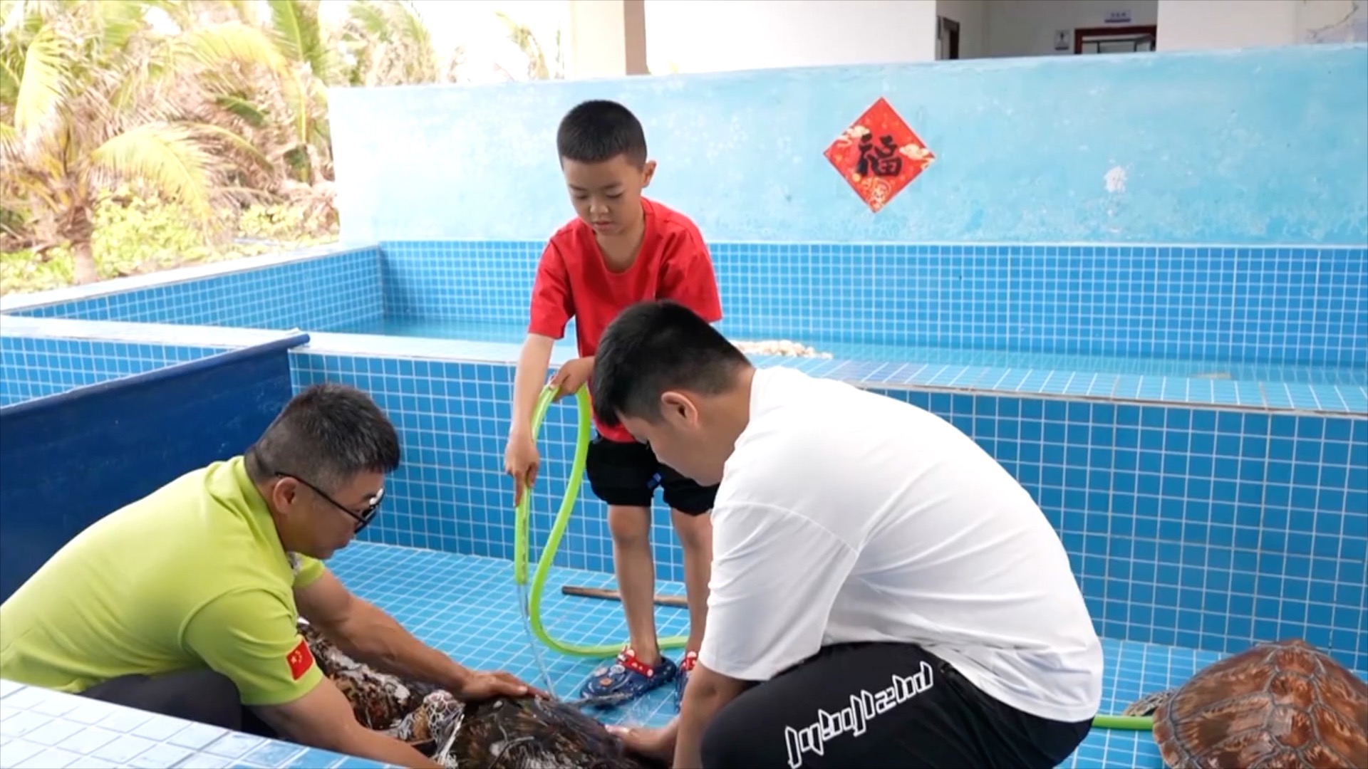 Conservationist Huang Cheng and his two sons cleaning sea turtles