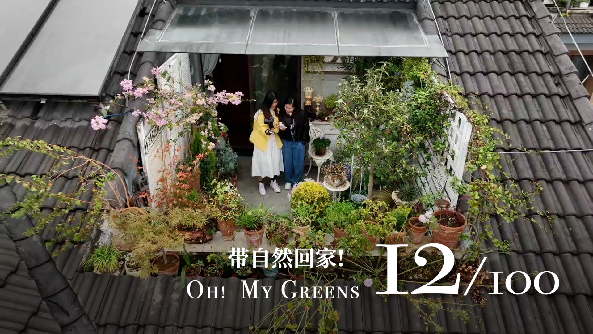 'Oh! My Greens' Ep. 12: Distinctive garden style with Chinese porcelains