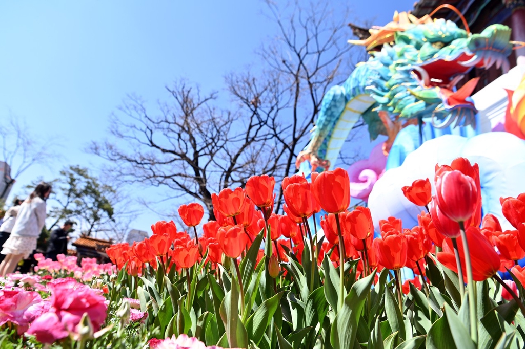 A photo shows a dragon ornament near tulips at Cuihu Park in Kunming, Yunnan, February 13, 2024. /IC