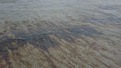 More than a million gallons of oil from an underwater pipeline off the Louisiana coast was leaked in the Gulf of Mexico, Louisiana, U.S., November 16, 2023. /CFP