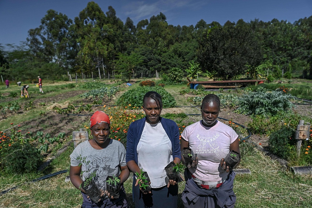 Gardeners hold up tree seedlings sprouting from seed balls planted in a nursery at the Wild Shamba in the Masai Mara ecosystem in Narok county, Kenya, February 4, 2021. /CFP