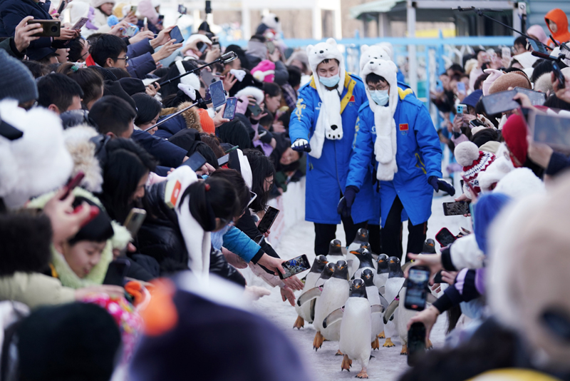 Tourists watch a penguin parade at the Harbin Polarpark in Harbin, northeast China's Heilongjiang Province, February 13, 2024. /Xinhua