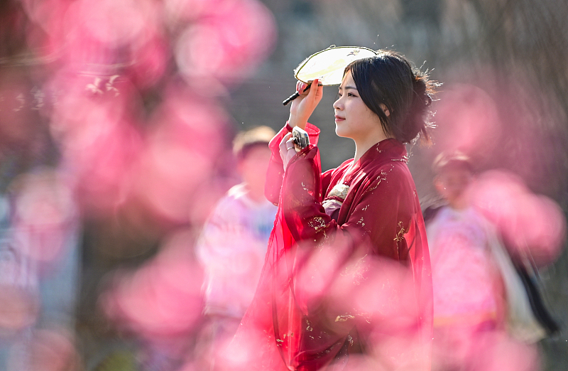 A visitor dresses in traditional Chinese attire to take photos with plum blossoms at the Shuixi Ancient Town in Bijie City, Guizhou Province, February 17, 2024. /CFP