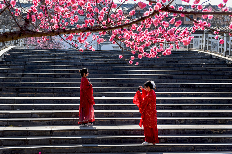 Visitors dress in traditional Chinese attire to take photos with plum blossoms at the Shuixi Ancient Town in Bijie City, Guizhou Province, February 17, 2024. /CFP