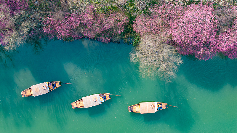 Boats float on the lake at the Xixi National Wetland Park in Hangzhou City, Zhejiang Province, February 18, 2024. /CFP