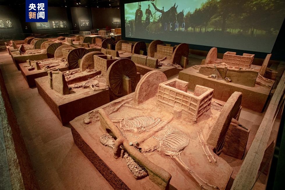 Chariots unearthed from the Yin Ruins are displayed at the new building of the Yinxu Museum in Anyang, Henan Province. /CMG