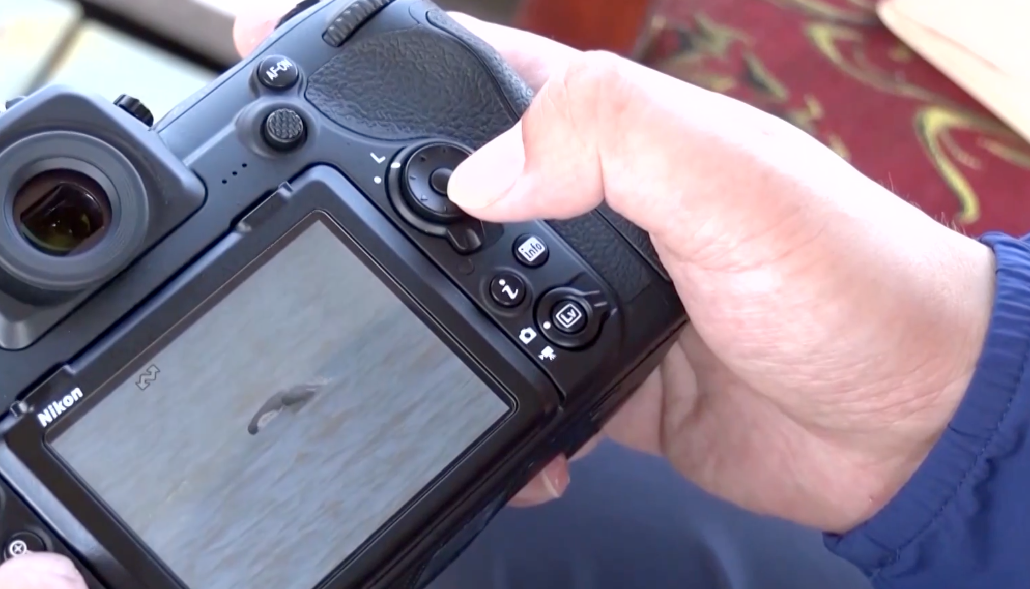 A team member shows a photo of a Yangtze finless porpoise on his camera. /China Media Group