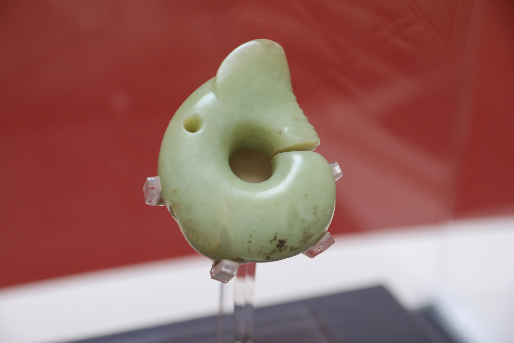 A photo taken at the Shanghai Museum on February 20, 2024 shows a slit ring jade dragon of the Hongshan culture, a Neolithic society that dates back 5,000 to 6,500 years ago. /CFP