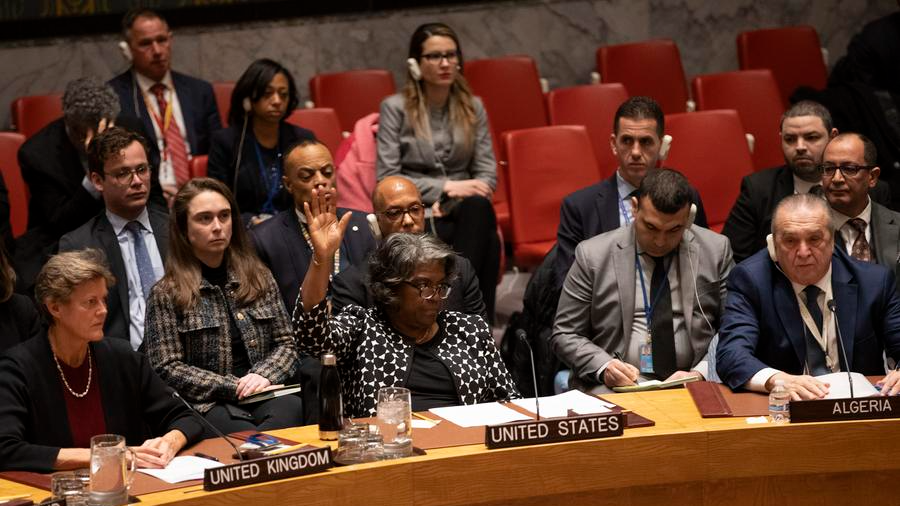U.S. Ambassador to the United Nations Linda Thomas-Greenfield (C, front) votes against a Gaza-related Security Council draft resolution at the UN headquarters in New York, February 20, 2024. /Xinhua