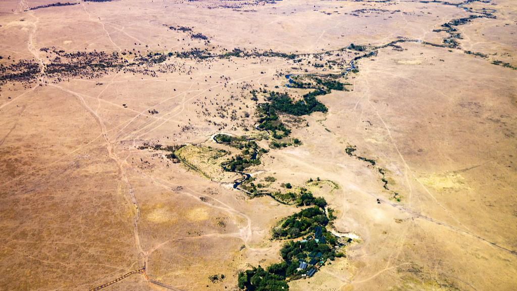 The arid land of a national park in Kenya. /CFP
