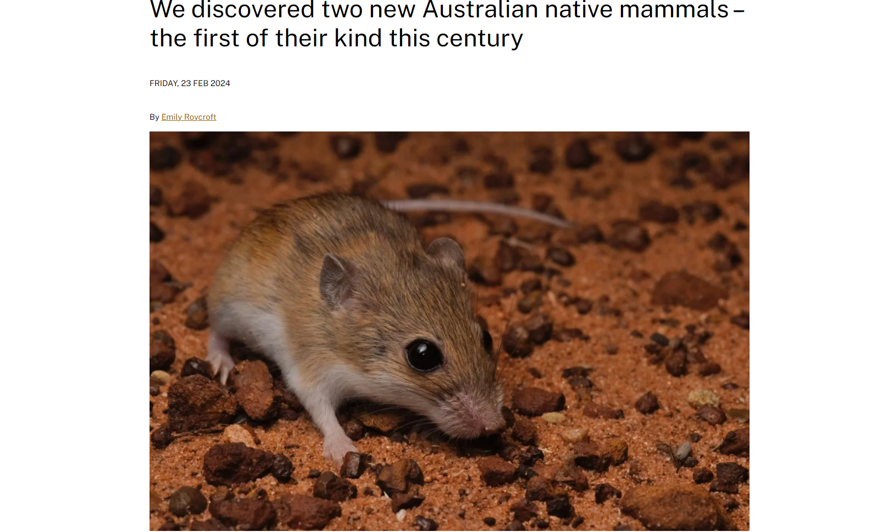 A screenshot of the Australian National University's website shows the newly described western delicate mouse.