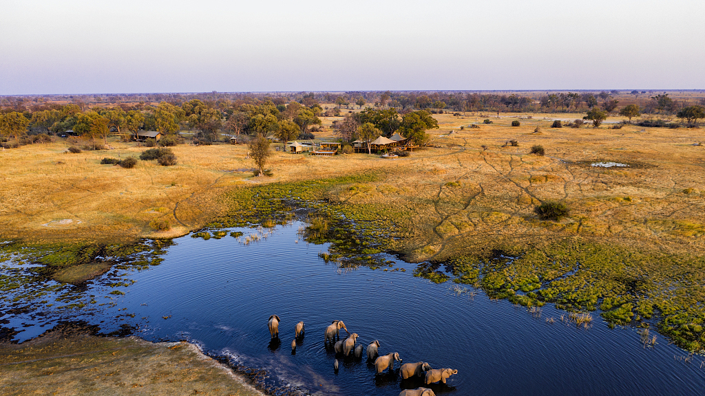 Scenery of Botswana. /CFP