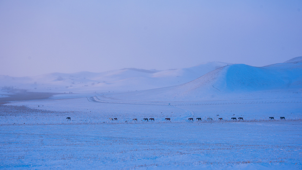 Snow scenery in Mongolia. /CFP