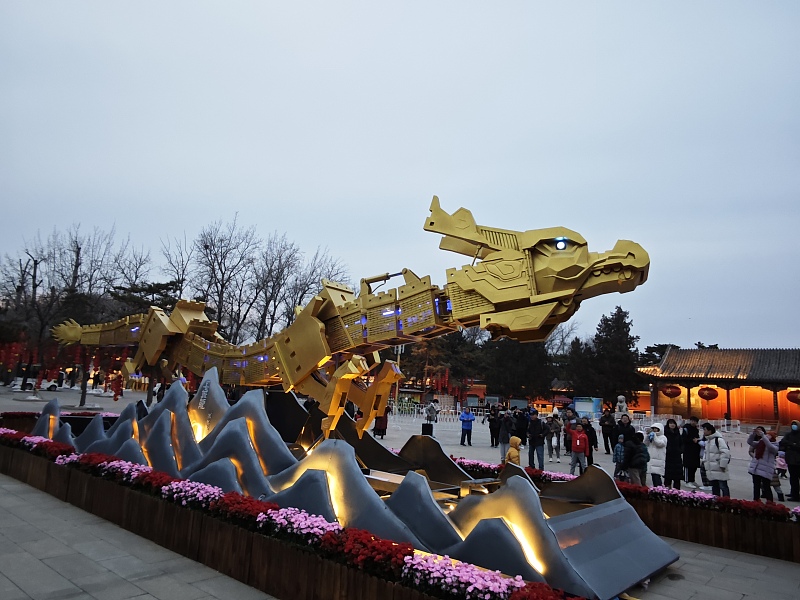 A giant Chinese dragon-shaped installation appears at the Old Summer Palace in Beijing, February 24, 2024. /CFP