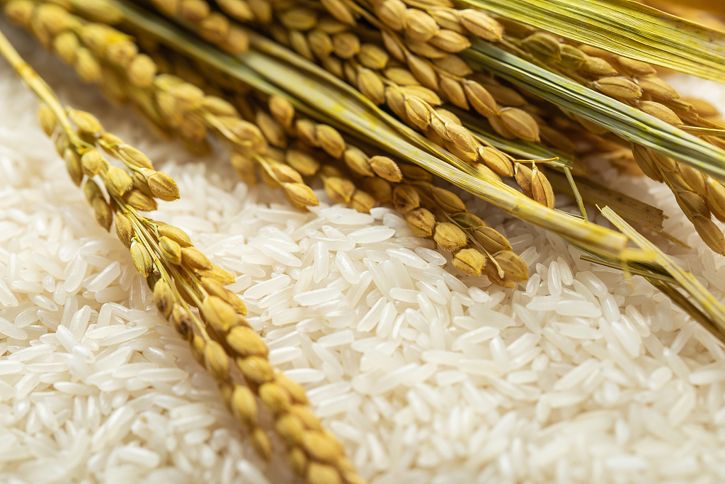 Rice is indispensable for many Chinese in their meals. /CFP