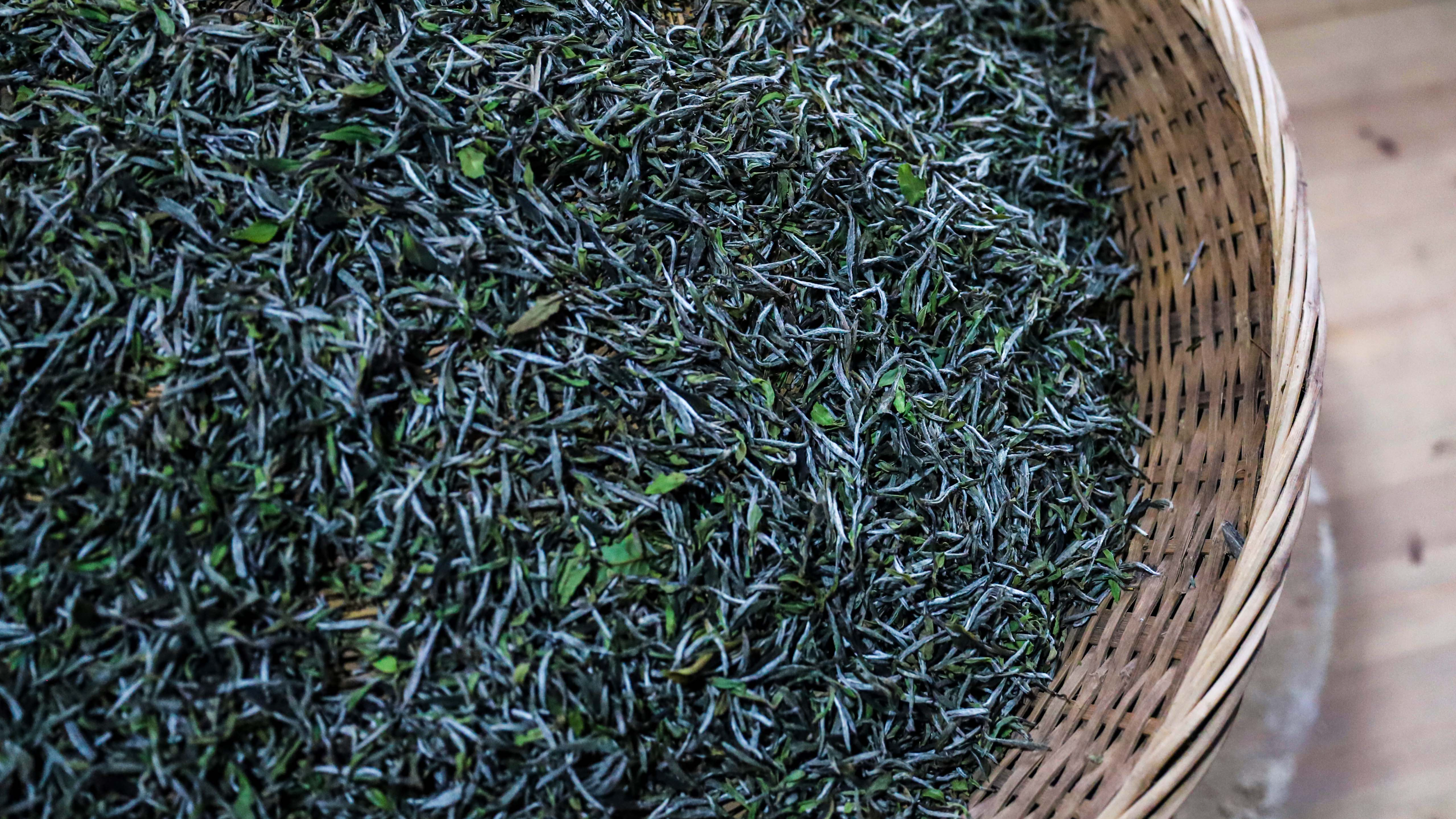 The art of drying tea leaves in Fuding
