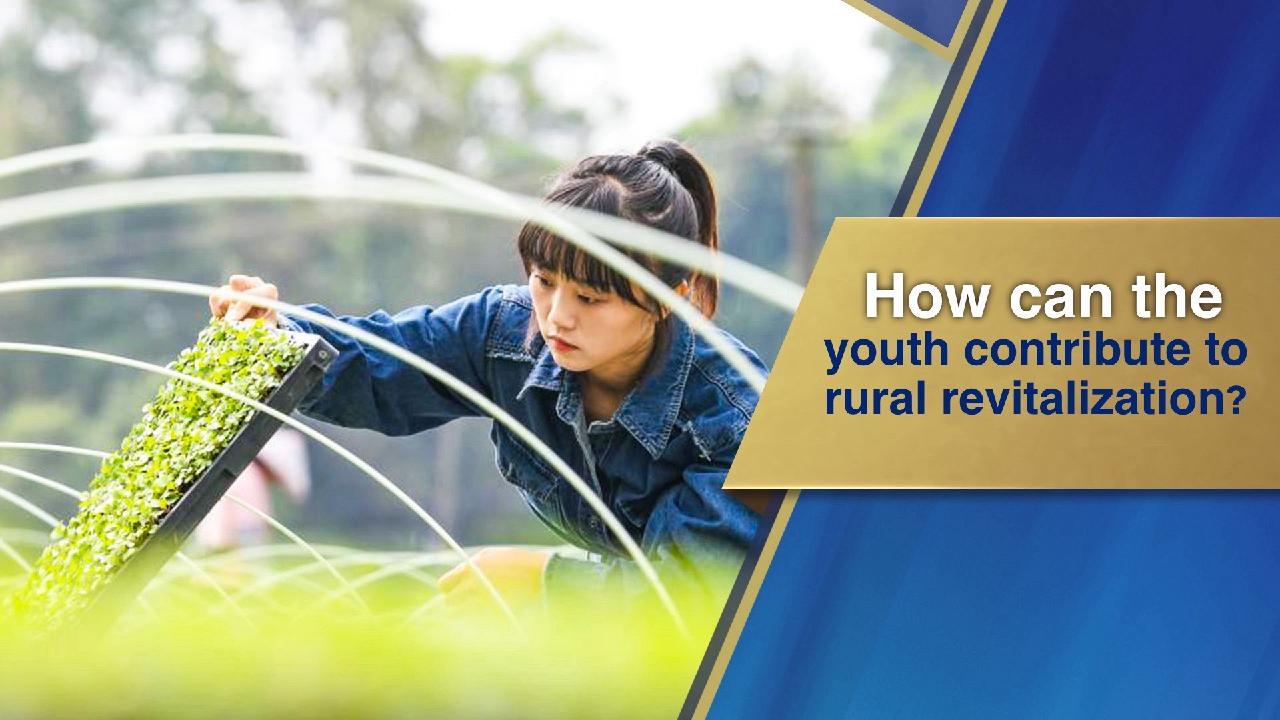 How can the youth contribute to rural revitalization? - CGTN