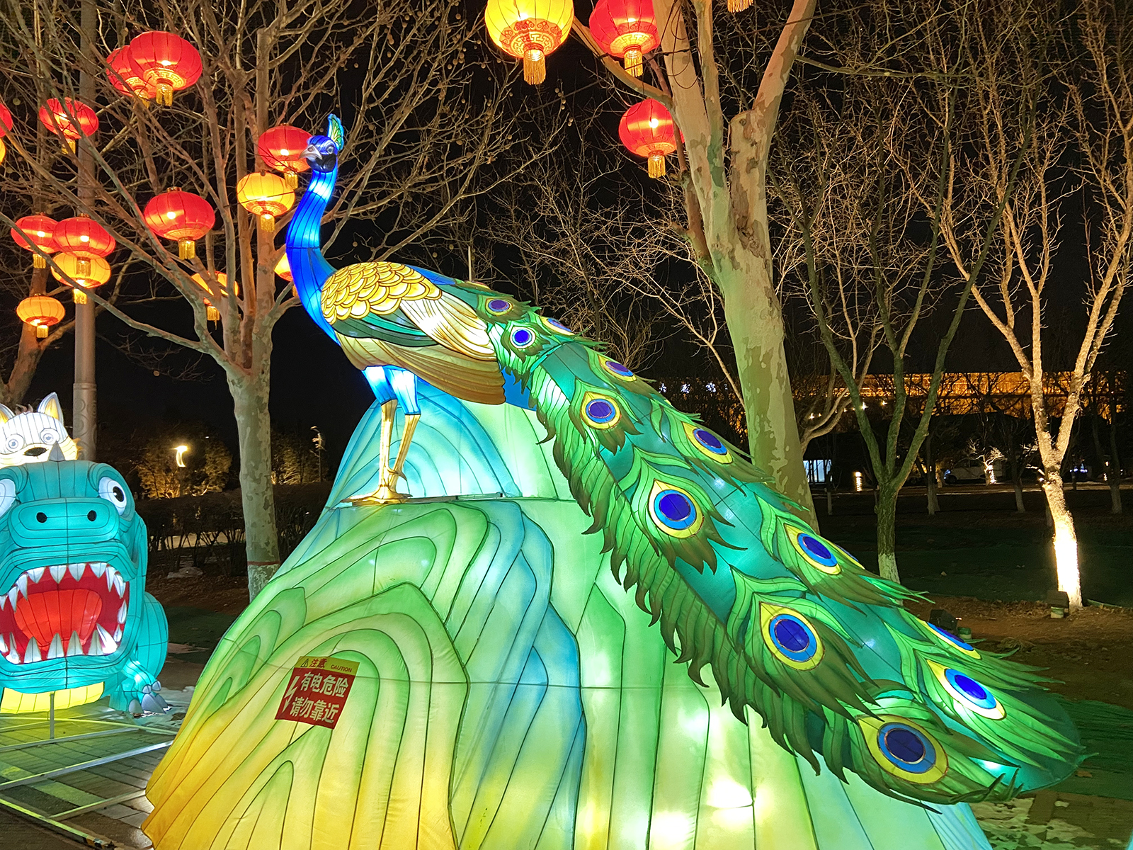 A lantern set featuring a peacock is seen at the South Lake Park in Tangshan, Hebei Province on February 23, 2024. /CGTN