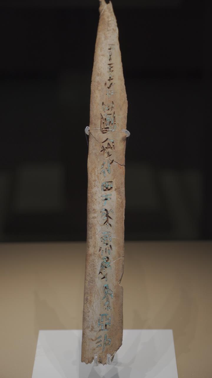 An oracle bone with turquoise inlays is on display at the new building of the Yinxu Museum in Anyang, Henan Province. /CMG