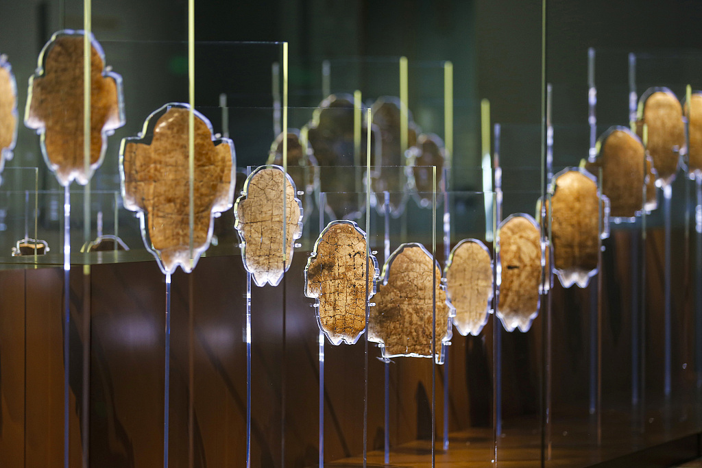 Oracle bones are displayed at the new building of the Yinxu Museum in Anyang, Henan Province, February 16, 2024. /CFP