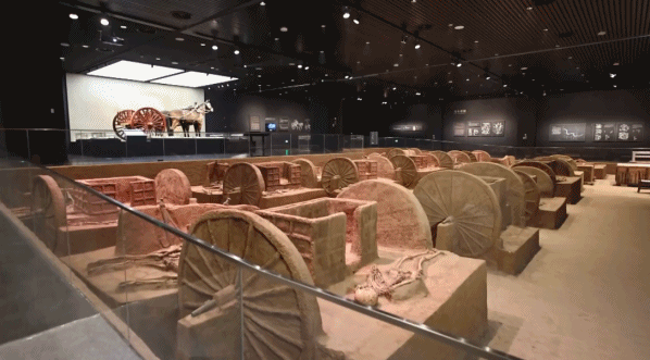 Chariots unearthed from the Yin Ruins are displayed at the new building of the Yinxu Museum in Anyang, Henan Province. /CMG