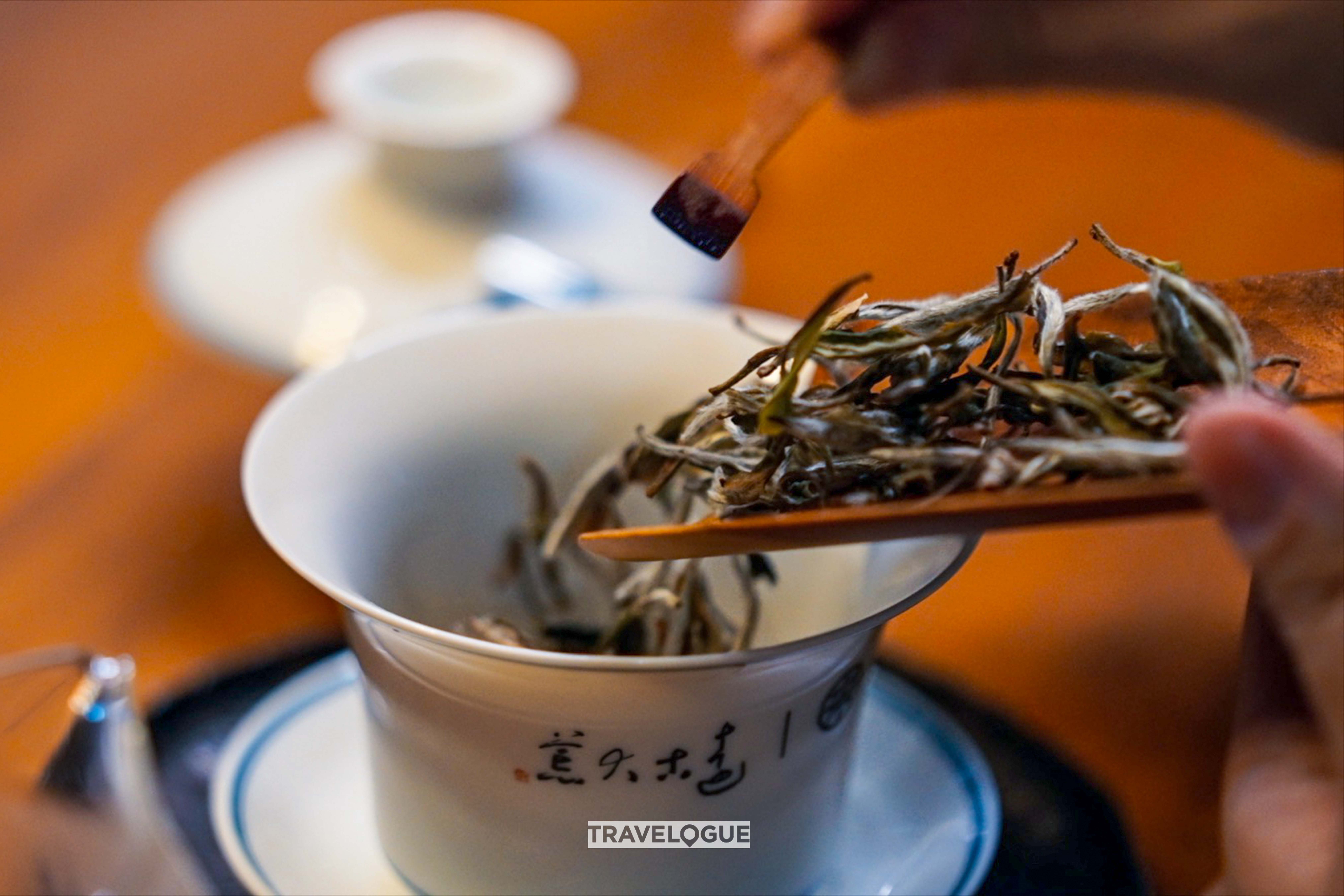 Fuding White Hair Silver Needle tea, from Fujian Province. /CGTN