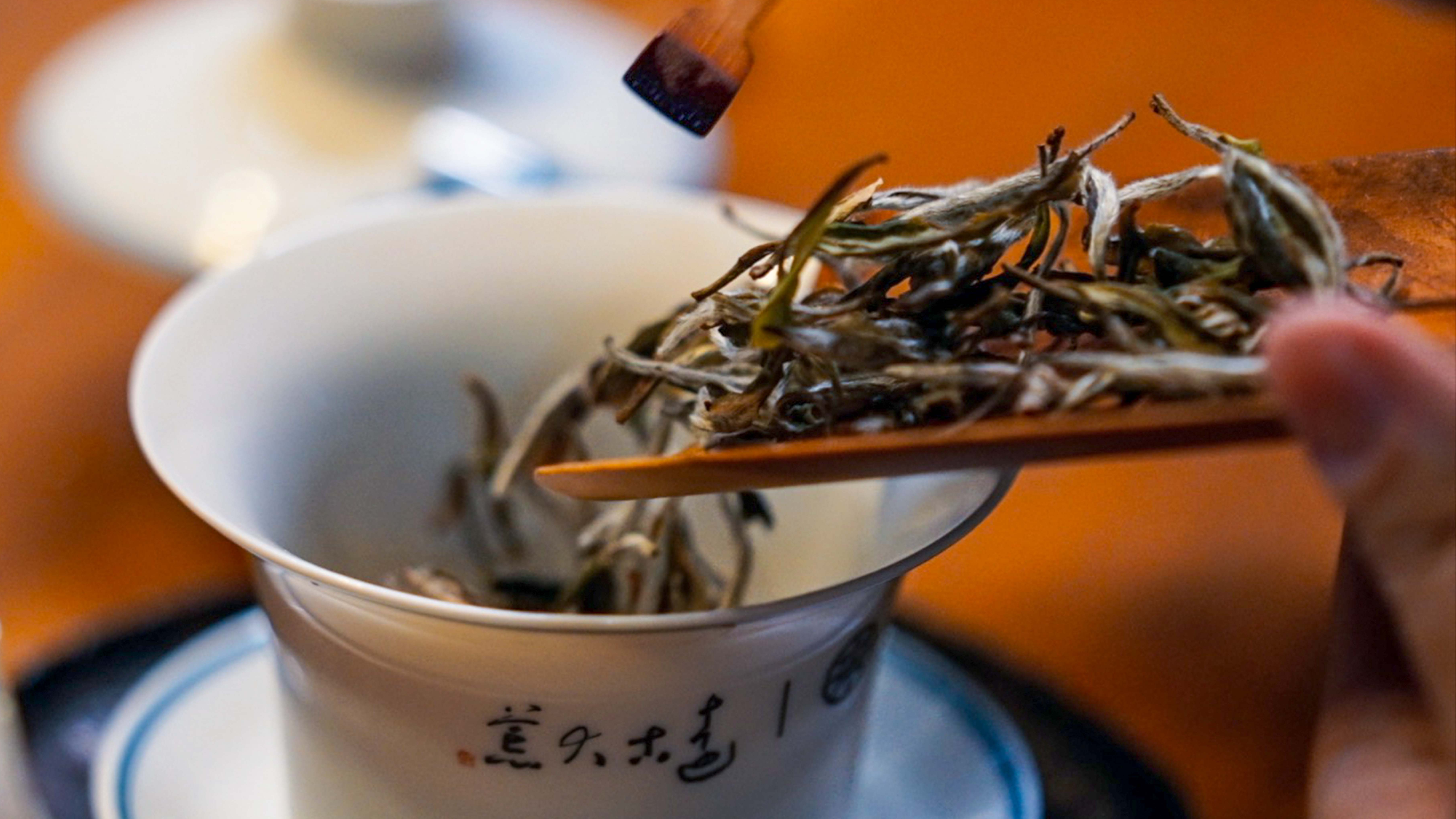 White Hair Silver Needle tea from Fuding 