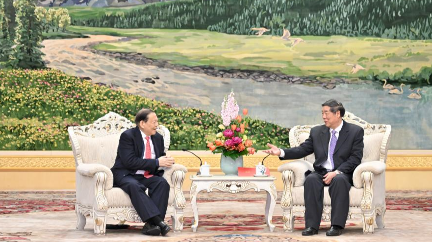 Chinese Vice Premier He Lifeng (R), also a member of the Political Bureau of the Communist Party of China Central Committee, meets with Sukanto Tanoto, chairman of Royal Golden Eagle (RGE) Group, at the Great Hall of the People in Beijing, China, February 26, 2024. /Xinhua
