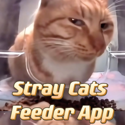 App helps to feed and care for stray cats in China - CGTN