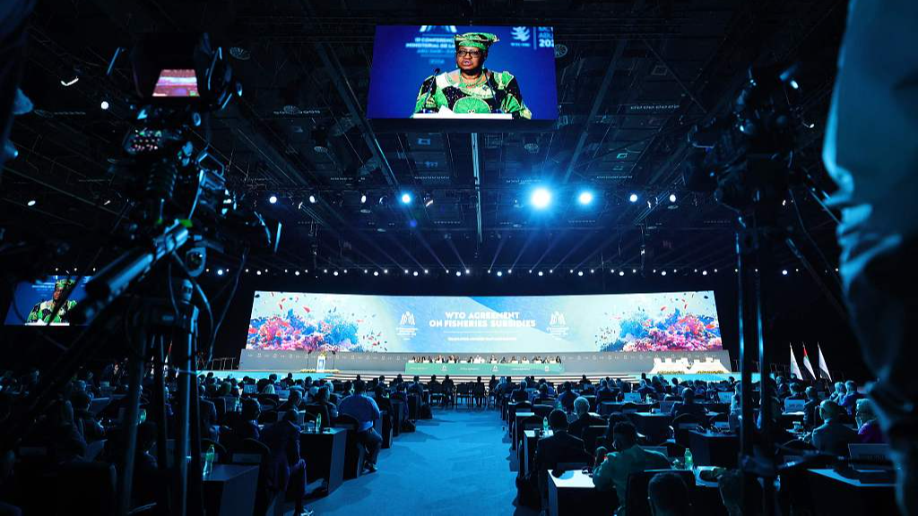 Director-General of the World Trade Organization (WTO) Ngozi Okonjo-Iweala addresses delegates during the 13th WTO Ministerial Conference in Abu Dhabi, United Arab Emirates, February 26, 2024. /CFP