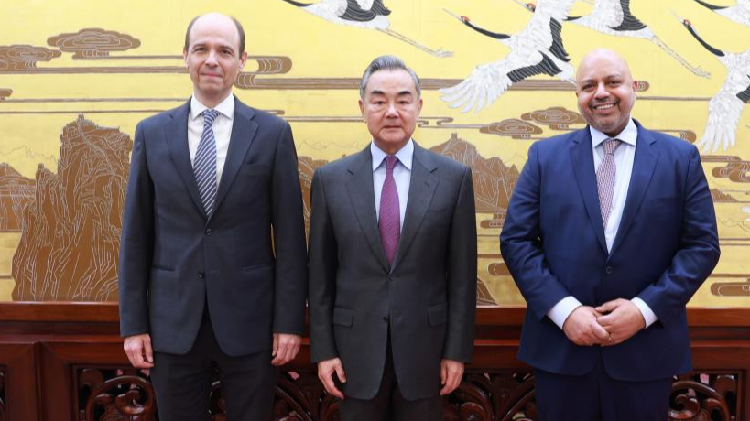 Chinese FM Meets Co-chairs Of Negotiations On UNSC Reform - CGTN