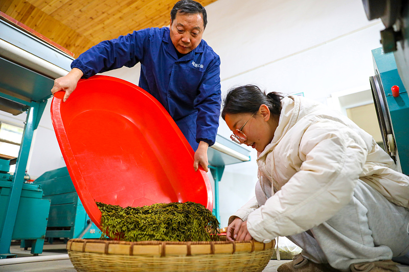 Workers make tea at a workshop in Hangzhou, Zhejiang Province, February 27, 2024. /CFP