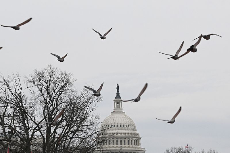 The U.S. Capitol is seen in Washington, D.C., U.S., February 27, 2024. /CFP