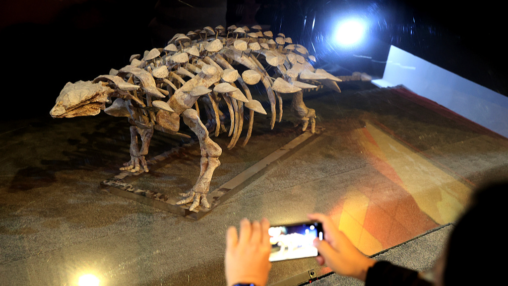 Fossils of new armored dinosaur species found in E China