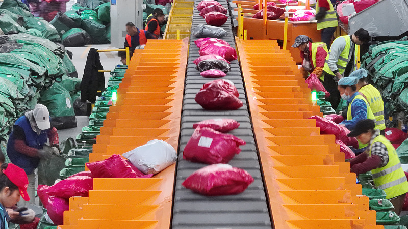 Staff sort parcels at a postal mail processing center in Yangzhou, Jiangsu Province, November 12, 2023. /CFP