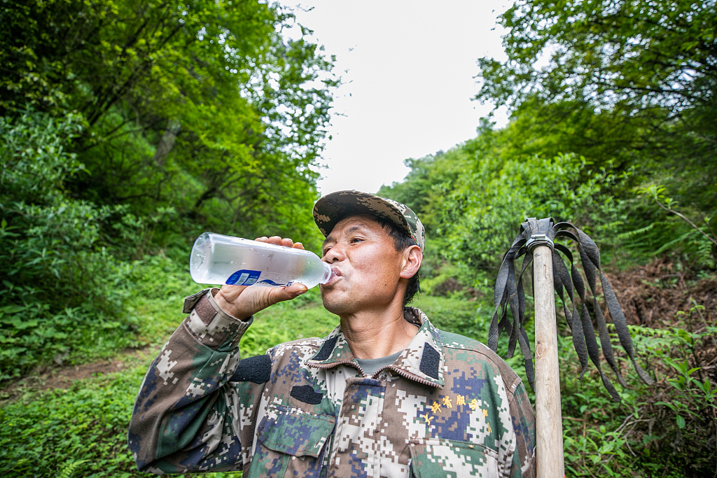 Chen Xinggui drinks spring water while patrolling a nature reserve for Chinese dove trees in Nayong County, Guizhou Province on April 26, 2022. /CFP