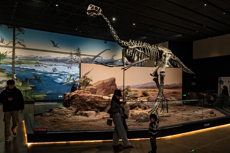 People visit the new branch of the Palaeozoological Museum of China in Baoding City, Hebei Province, February 28, 2024. /CFP